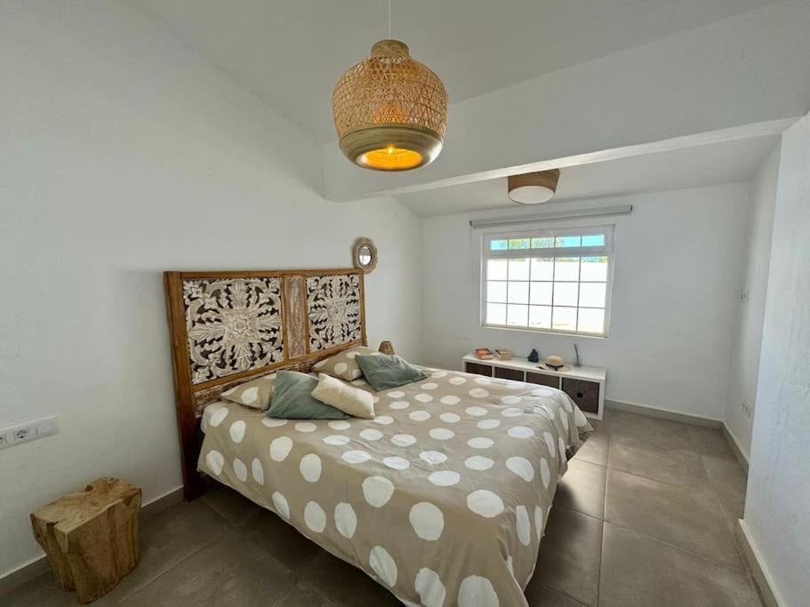 Casa Palmera 拉帕拉德 外观 照片